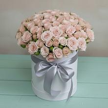 Цветочная композиция из Розы в шляпной коробке #REPLACE_PRED# Спицевке