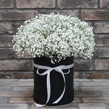 Цветочная композиция из Гипсофила в шляпной коробке в Спицевке