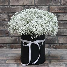 Цветочная композиция из Гипсофила в шляпной коробке в Спицевке
