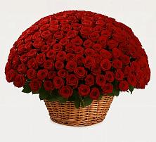 Премиум букет из: Розы в Спицевке